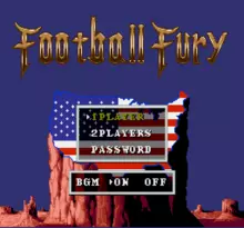 Image n° 1 - screenshots  : Football Fury